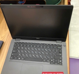 DELL latitude 5300 -i7. 8250u/ram8g/ssd256/14''